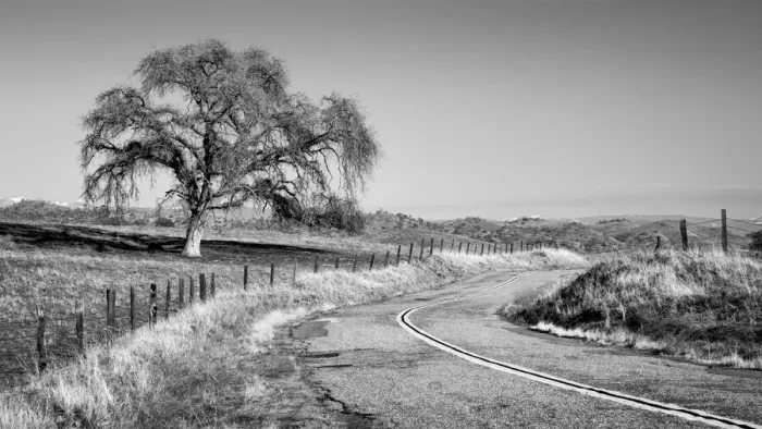 Framed Print : USA, California, Madera County, Rural road through ranch country Framed Print : USA, California, Madera County, Rural road through ranch country