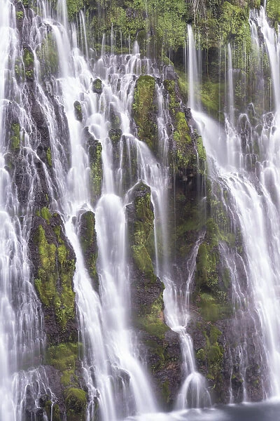 USA, California, McArthur-Burney Falls State Park. Burney Creek waterfall and ferns