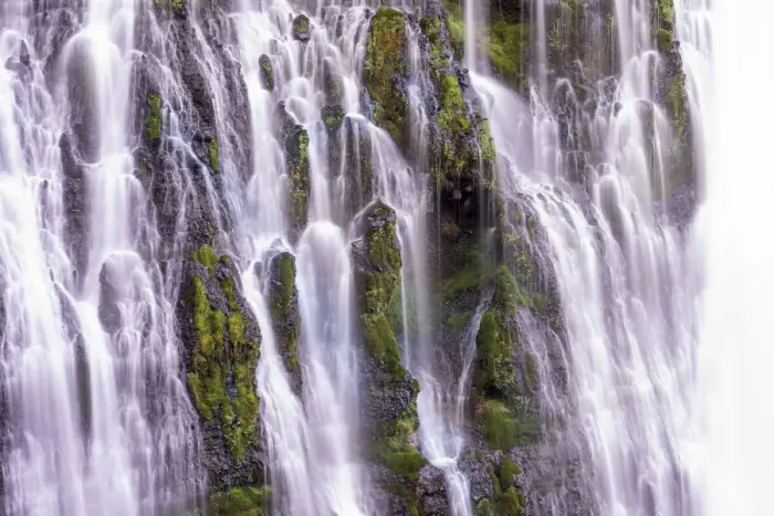 Framed Print : USA, California, McArthur-Burney Falls State Park. Burney Creek waterfall and ferns Framed Print : USA, California, McArthur-Burney Falls State Park. Burney Creek waterfall and ferns