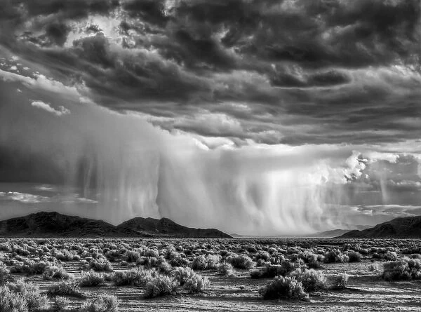 USA, California, Mojave National Preserve, Desert rain squall at sunset