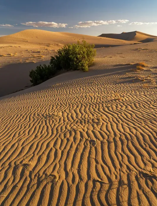 Framed Print : USA, California. Mojave Trails National Monument, Cadiz Dunes