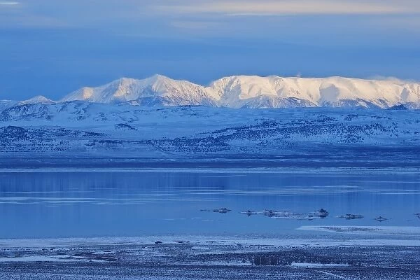 USA, California, Mono Lake. Snow-covered mountains and the lake in winter