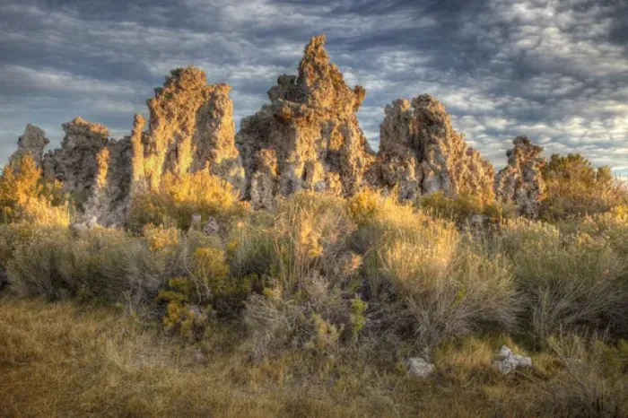 Framed Print : USA, California, Mono Lake. Sunrise on tufas and grass Framed Print : USA, California, Mono Lake. Sunrise on tufas and grass