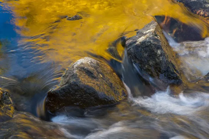 Framed Print : Usa, California. Morning sun shines gold on the waters of the South Fork American River