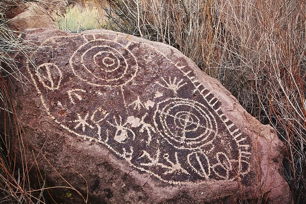 USA, California, Owens Valley. Petroglyphs covering boulder