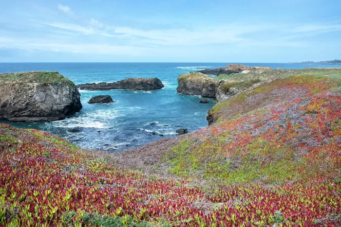 Framed Print : USA, California. Pacific Ocean, cliffs edge in Mendocino Headlands State Park Framed Print : USA, California. Pacific Ocean, cliffs edge in Mendocino Headlands State Park