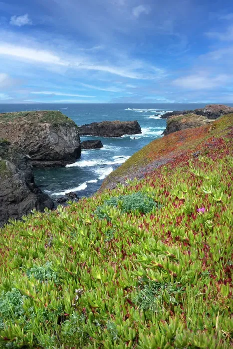 Framed Print : USA, California. Pacific Ocean, Mendocino Headlands State Park Framed Print : USA, California. Pacific Ocean, Mendocino Headlands State Park