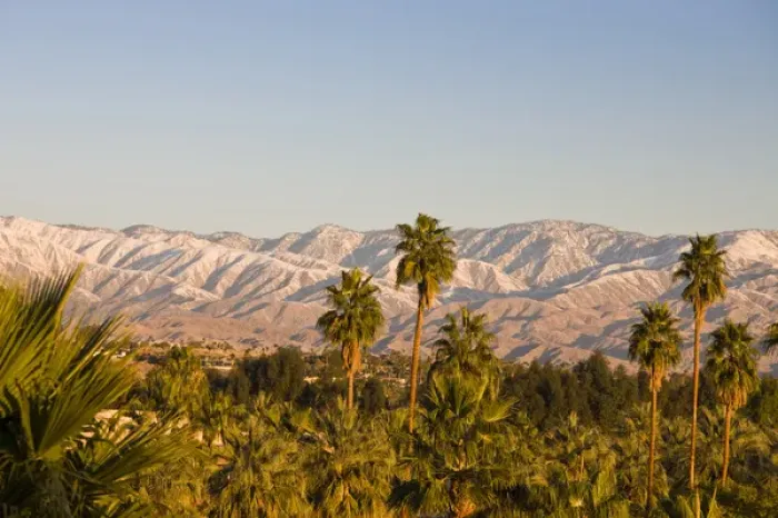 Framed Print : USA, California, Palm Springs. Palms and San Bernardino Mountains, sunrise Framed Print : USA, California, Palm Springs. Palms and San Bernardino Mountains, sunrise