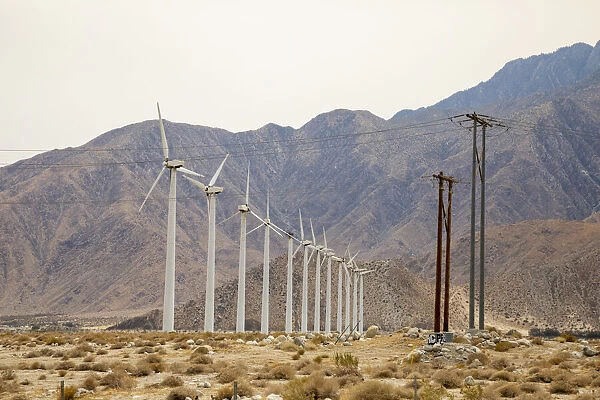 USA, California, Palm Springs. Wind farm turbines