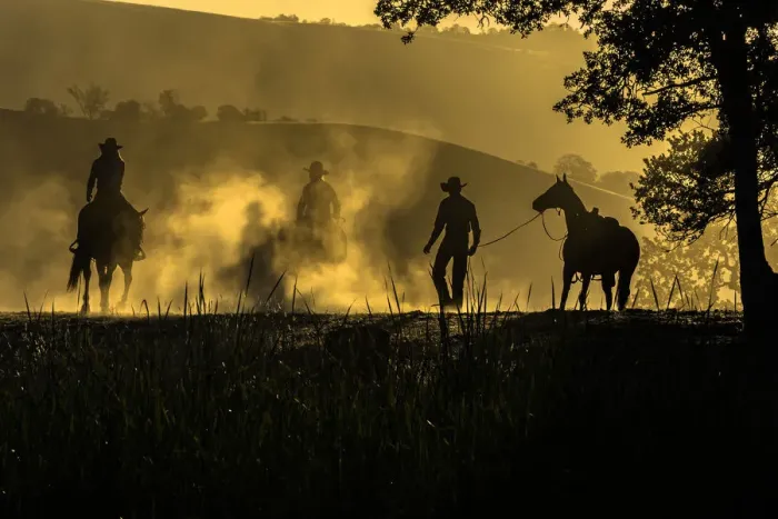 Framed Print : USA, California, Parkfield, V6 Ranch silhouette of riders, on horseback. Early dusty morning Framed Print : USA, California, Parkfield, V6 Ranch silhouette of riders, on horseback. Early dusty morning