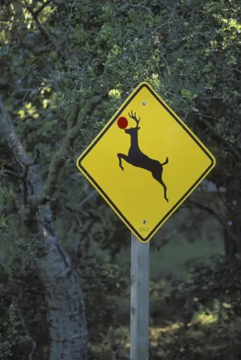 Framed Print : USA, California. A prankster converted a deer crossing sign into a Rudolph the reindeer