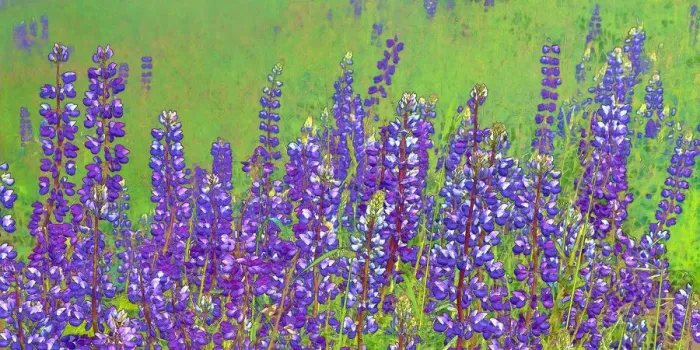 Framed Print : USA, California, Redwood National Park. Abstract of lupine flowers Framed Print : USA, California, Redwood National Park. Abstract of lupine flowers