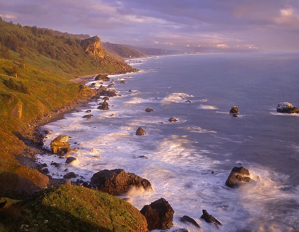 USA, California, Redwood National and State Parks, View south along coastline