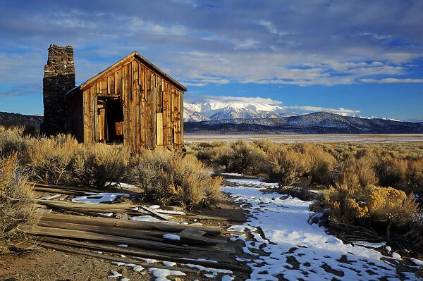USA, California. Ruins of cowboys cabin in Adobe Valley