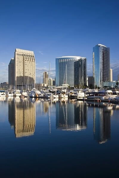 USA, California, San Diego. Harborside city view from Embarcadero Park, morning