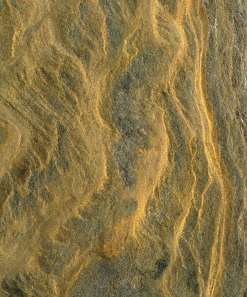 USA; California; San Diego. ; Patterns of Sandstone at the beach