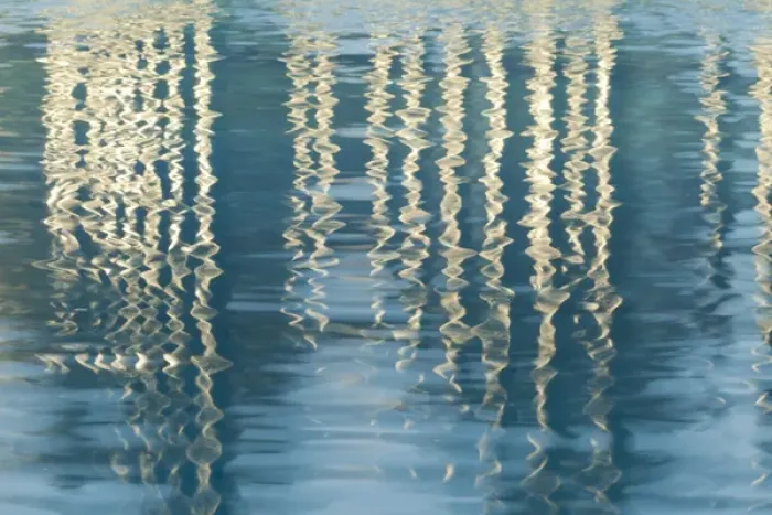 Framed Print : USA, California, San Diego. Reflections on Childrens Park pool in Martin Luther King Jr Framed Print : USA, California, San Diego. Reflections on Childrens Park pool in Martin Luther King Jr
