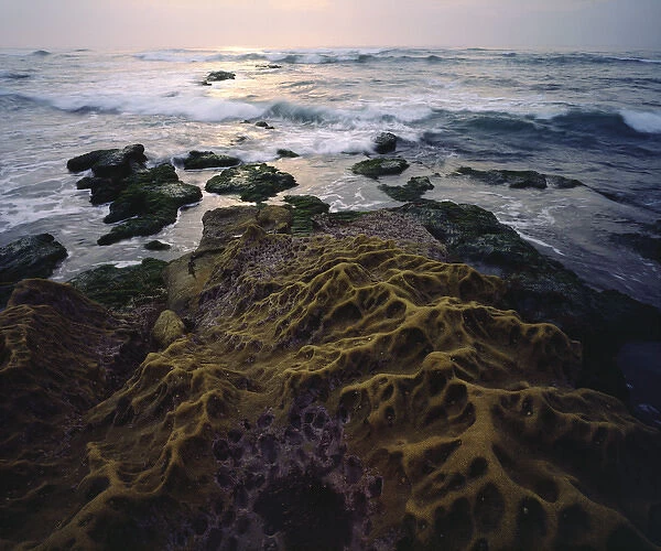 USA; California; San Diego. ; Sandstone formations on the La Jolla Coastline
