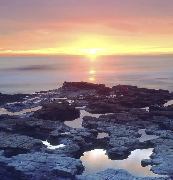 USA, California, San Diego. Sunset Cliffs tide pools on the Pacific Ocean reflecting the sunset
