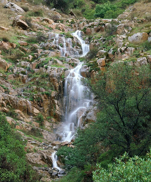 USA, California, San Diego. A waterfall in Mission Trails Regional Park