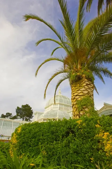 Framed Print : USA, California, San Francisco, San Francisco Conservatory of Flowers in Golden