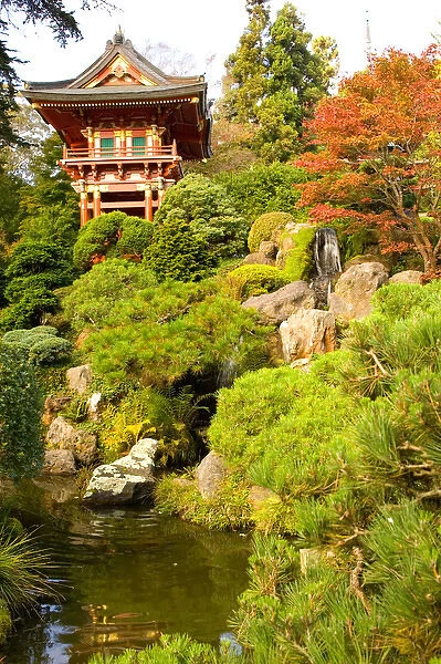 USA, California, San Francisco, Golden Gate Park, Japanese Tea Garden