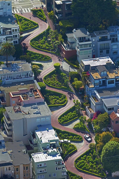 USA, California, San Francisco - Lombard Street (claimed to be the worlds crookedest street)