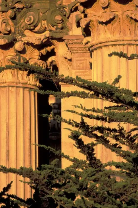 Framed Print : USA, California, San Francisco, Presidio. Palace of Fine Arts