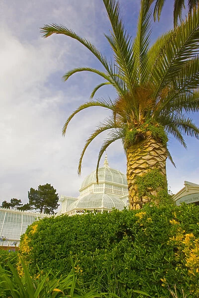 USA, California, San Francisco, San Francisco Conservatory of Flowers in Golden