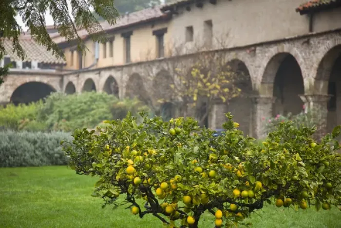 Framed Print : USA, California, San Juan Capistrano. Mission San Juan Capistrano, central courtyard