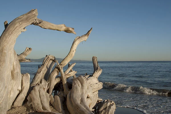 USA: California: Santa Barbara, Montecito, Butterfly Beach, driftwood