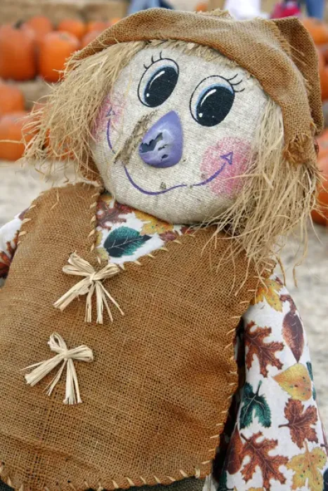 Framed Print : USA, California. Scarecrow at Pumpkin Patch Framed Print : USA, California. Scarecrow at Pumpkin Patch