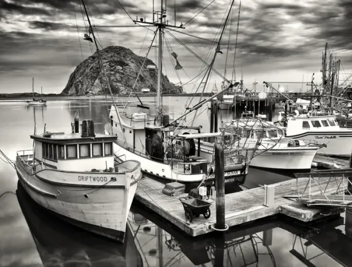 Framed Print : USA, California, Sepia-tinted fishing boats docked in Morro Bay at dawn