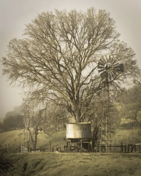 Framed Print : USA, California, Shell Creek Road. Windmill, water tank and oak tree Framed Print : USA, California, Shell Creek Road. Windmill, water tank and oak tree