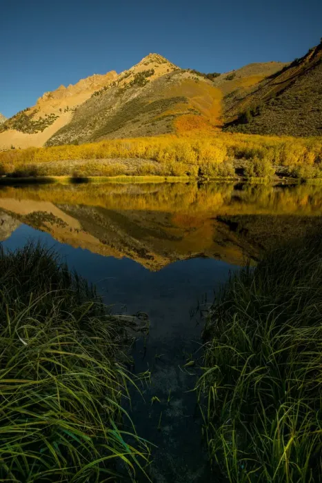 Framed Print : Usa, California, Sierra Nevada. Morning sun lights up North Lake and the golden aspens beyond Framed Print : Usa, California, Sierra Nevada. Morning sun lights up North Lake and the golden aspens beyond