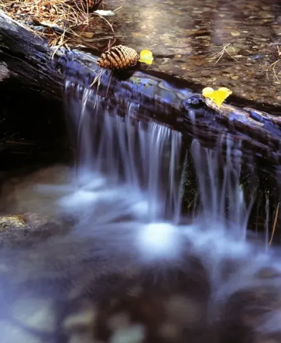 Framed Print : USA, California, Sierra Nevada. A fallen log creates a small waterfall on Barney Framed Print : USA, California, Sierra Nevada. A fallen log creates a small waterfall on Barney