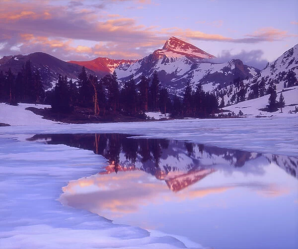 USA, California, Sierra Nevada Mountains. Mount Dana at sunset reflecting in a partially