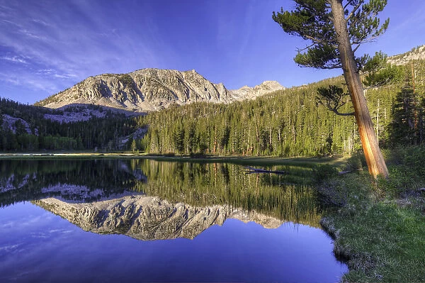 USA, California, Sierra Nevada Mountains. Calm reflections in Grass Lake. Credit as