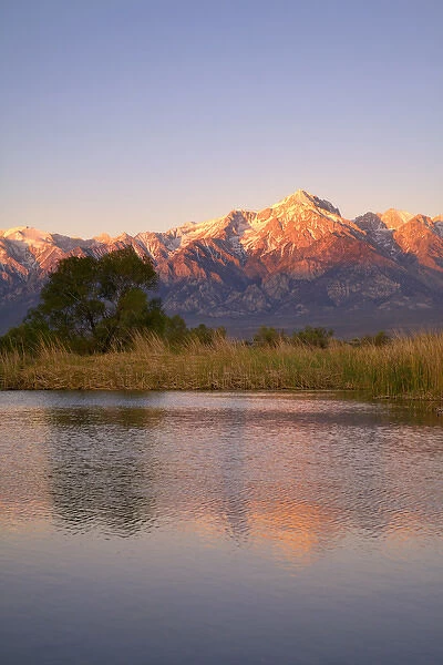 USA, California, Sierra Nevada Mountains. Mountains reflect in Billy Lake in Owens Valley