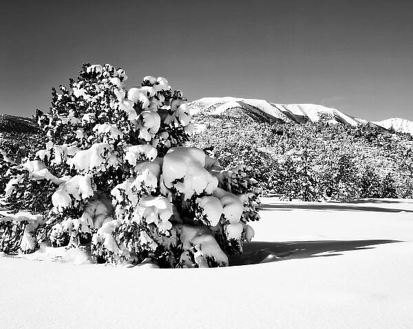 USA, California, Sierra Nevada Mountains. Morning light on winter landscape. Credit as