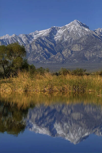 USA, California, Sierra Nevada Mountains. Mt. Williamson reflects in lake. Credit as