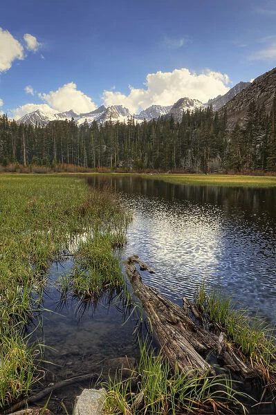 USA, California, Sierra Nevada Range. Landscape with Weir Pond