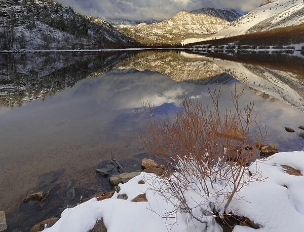USA, California, Sierra Nevada Range. Spring snow at North Lake