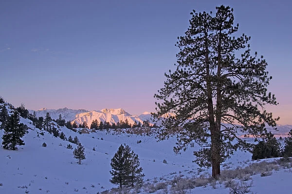 USA, California, Sierra Nevada Range. Mountain landscape at sunrise