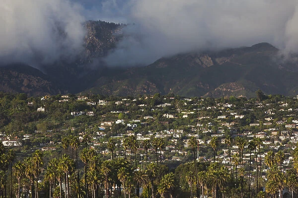 USA, California, Southern California, Santa Barbara, hillside with mist