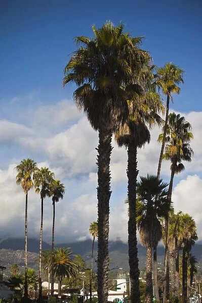 USA, California, Southern California, Santa Barbara, harborfront and beach