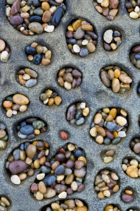 Framed Print : USA, California. Tafoni formation holes filled with pebbles