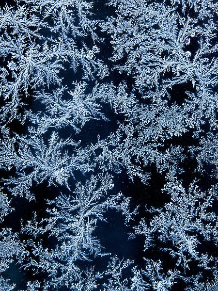 USA, California, Tahoe City, Morning frost on car window