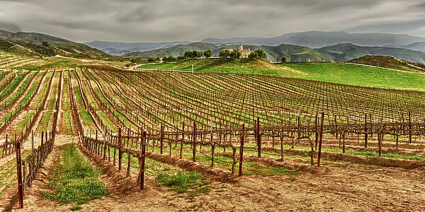 USA, California, Temecula. Spring at Leoness Cellars in the Temecula wine country