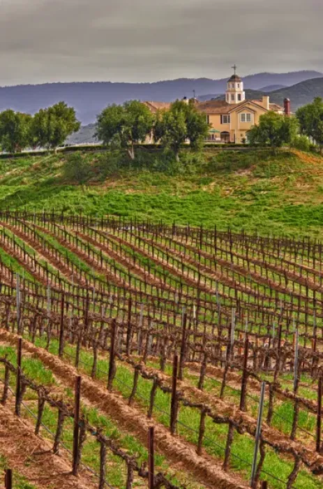 Framed Print : USA, California, Temecula. Spring at Leoness Cellars in the Temecula wine country Framed Print : USA, California, Temecula. Spring at Leoness Cellars in the Temecula wine country